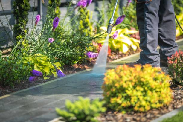 Best Patio and Deck Pressure Washing  in El Verano, CA